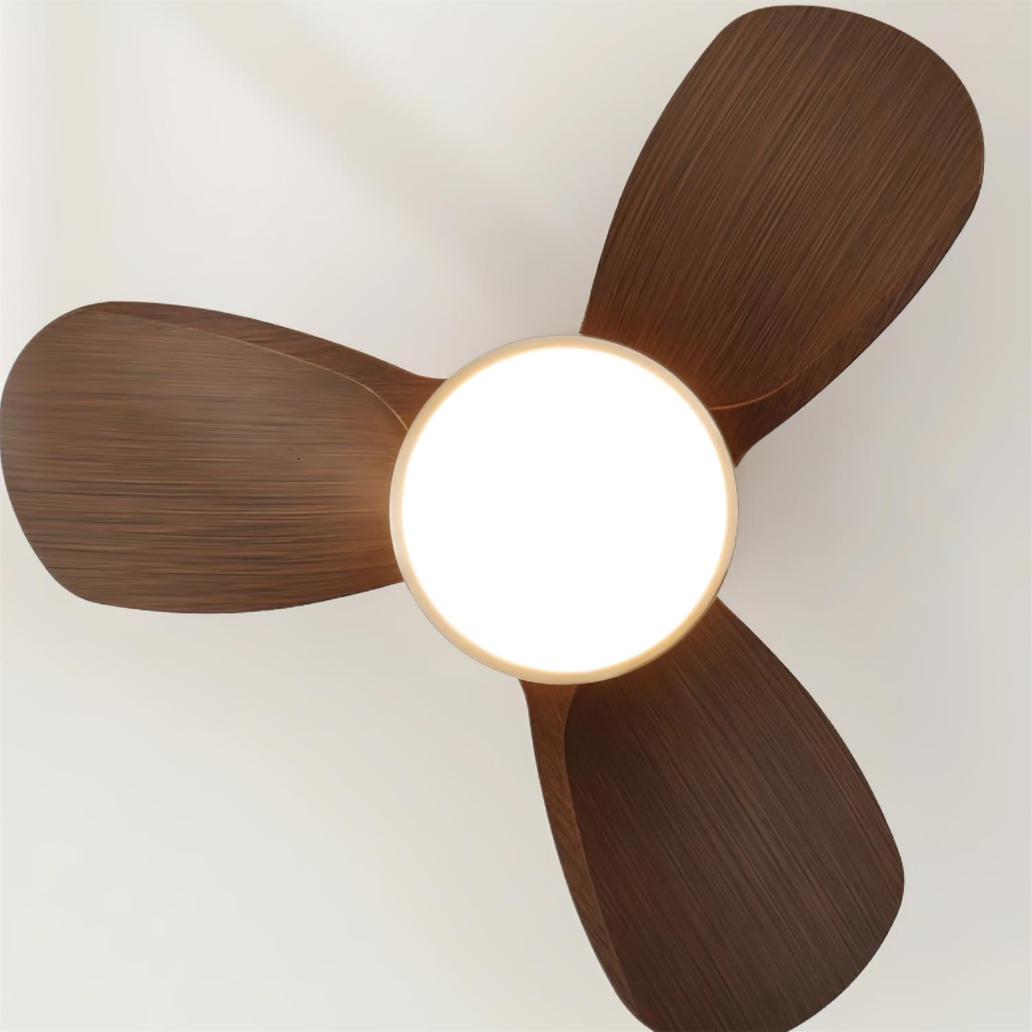 talaya-ceiling-fan-light-anzaz--16