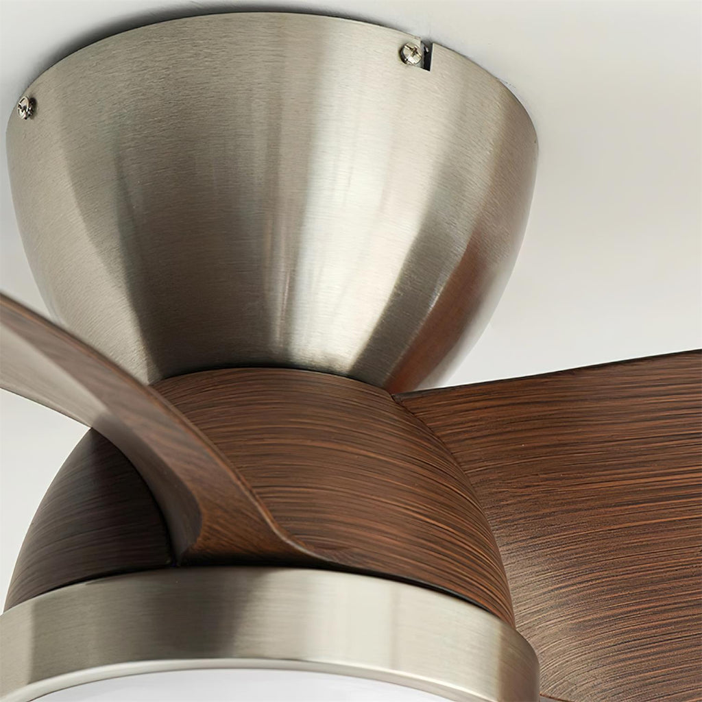 talaya-ceiling-fan-light-anzaz--5