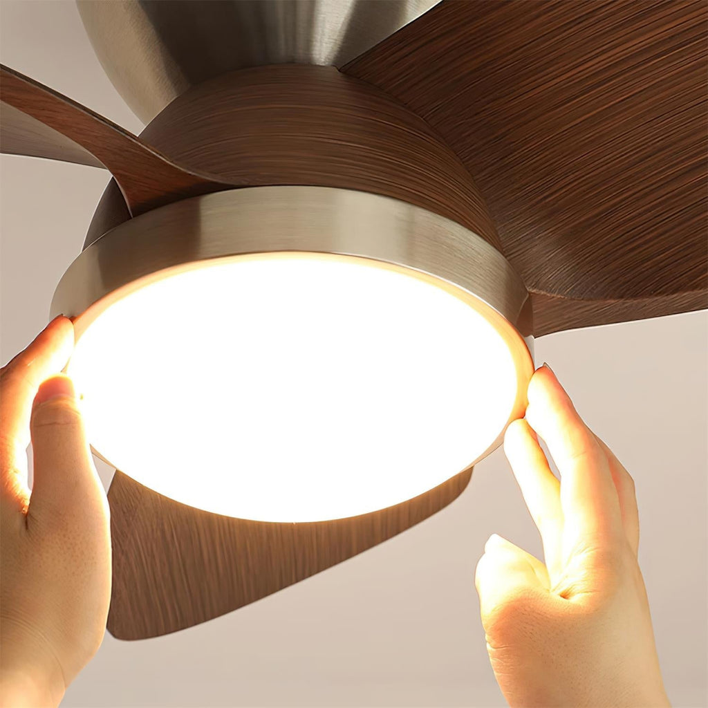 talaya-ceiling-fan-light-anzaz--18