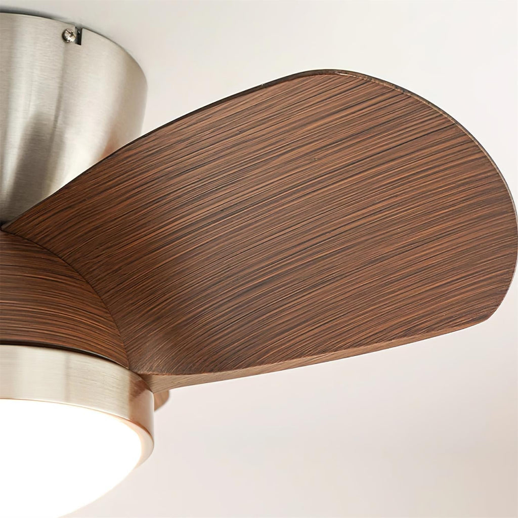 talaya-ceiling-fan-light-anzaz--19