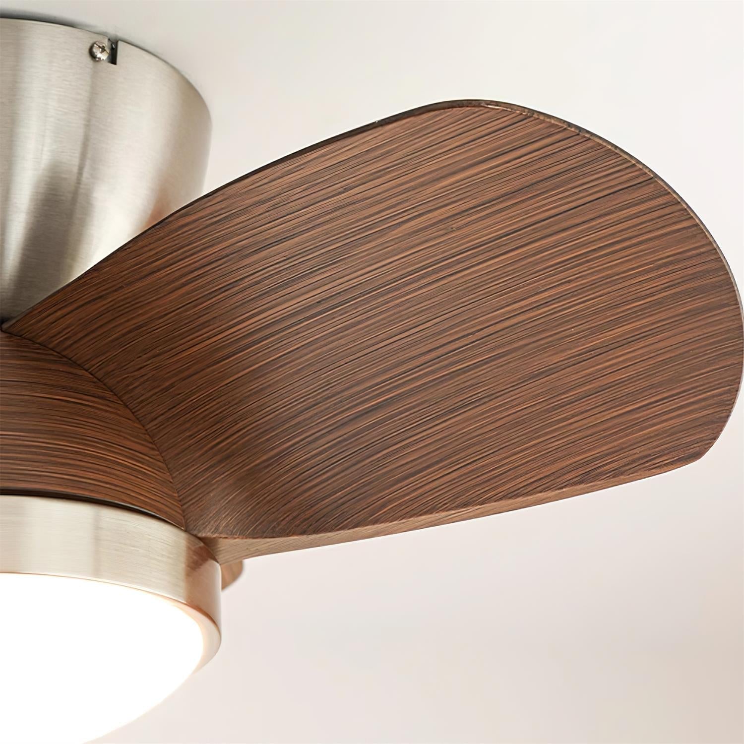 talaya-ceiling-fan-light-anzaz--19