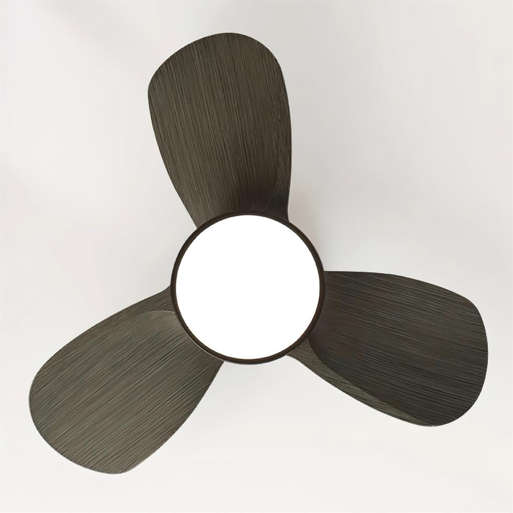 talaya-ceiling-fan-light-anzaz--12