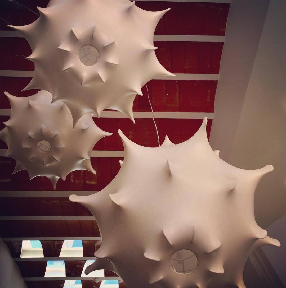 dandelion-bloom-pendant-lamp-anzaz--21