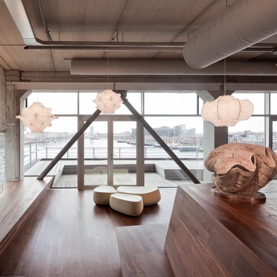 dandelion-bloom-pendant-lamp-anzaz--16