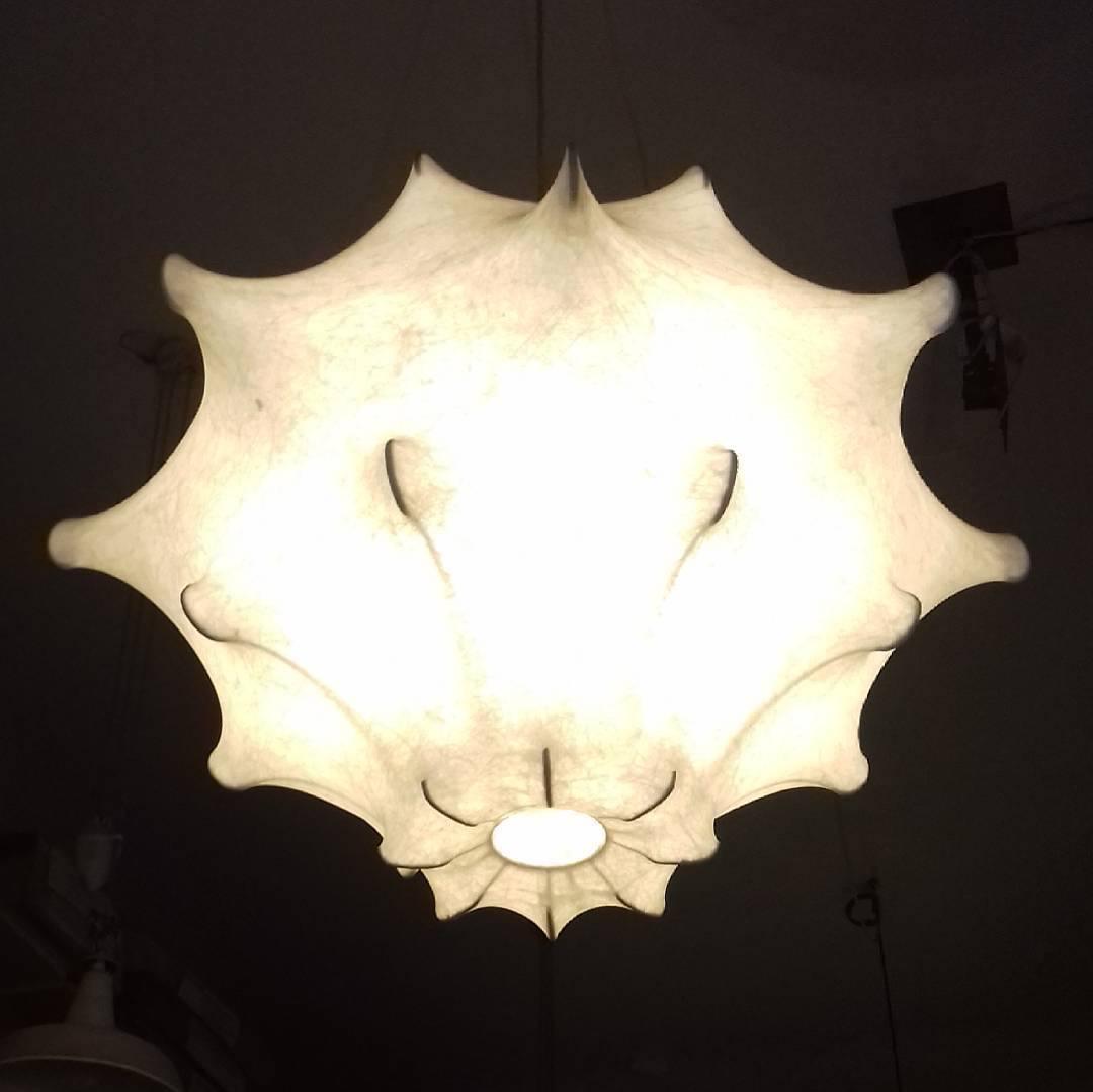 dandelion-bloom-pendant-lamp-anzaz--17
