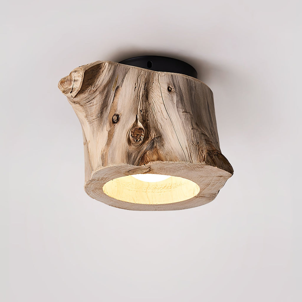 tarn-hollow-ceiing-lamp-anzaz--9