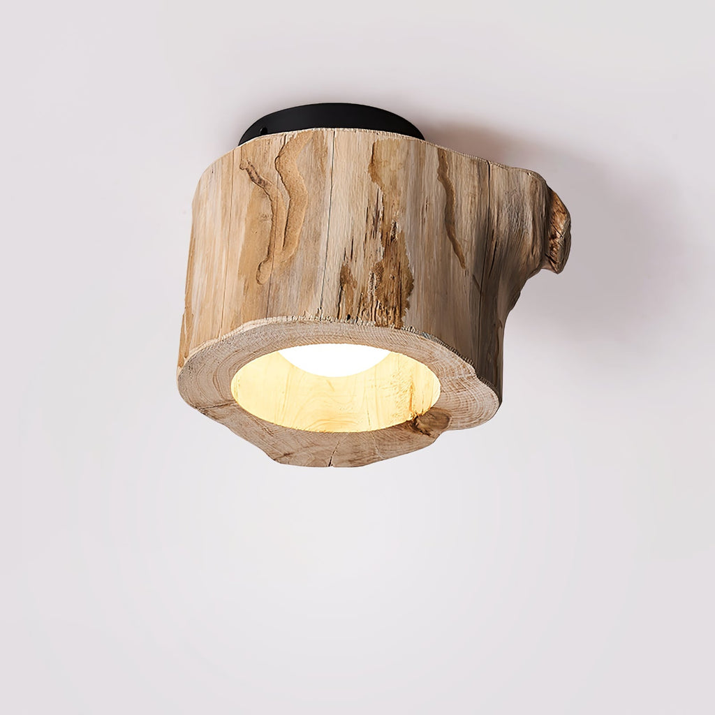 tarn-hollow-ceiing-lamp-anzaz--11