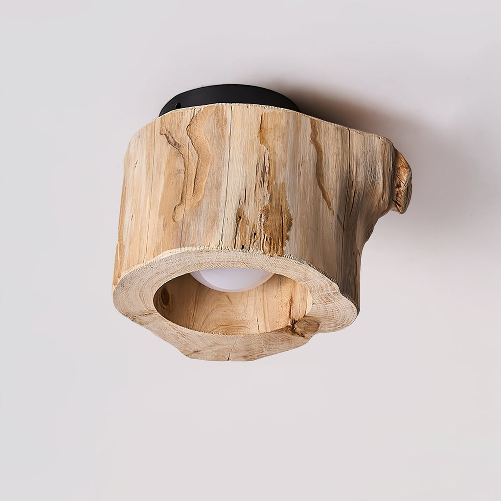 tarn-hollow-ceiing-lamp-anzaz--12