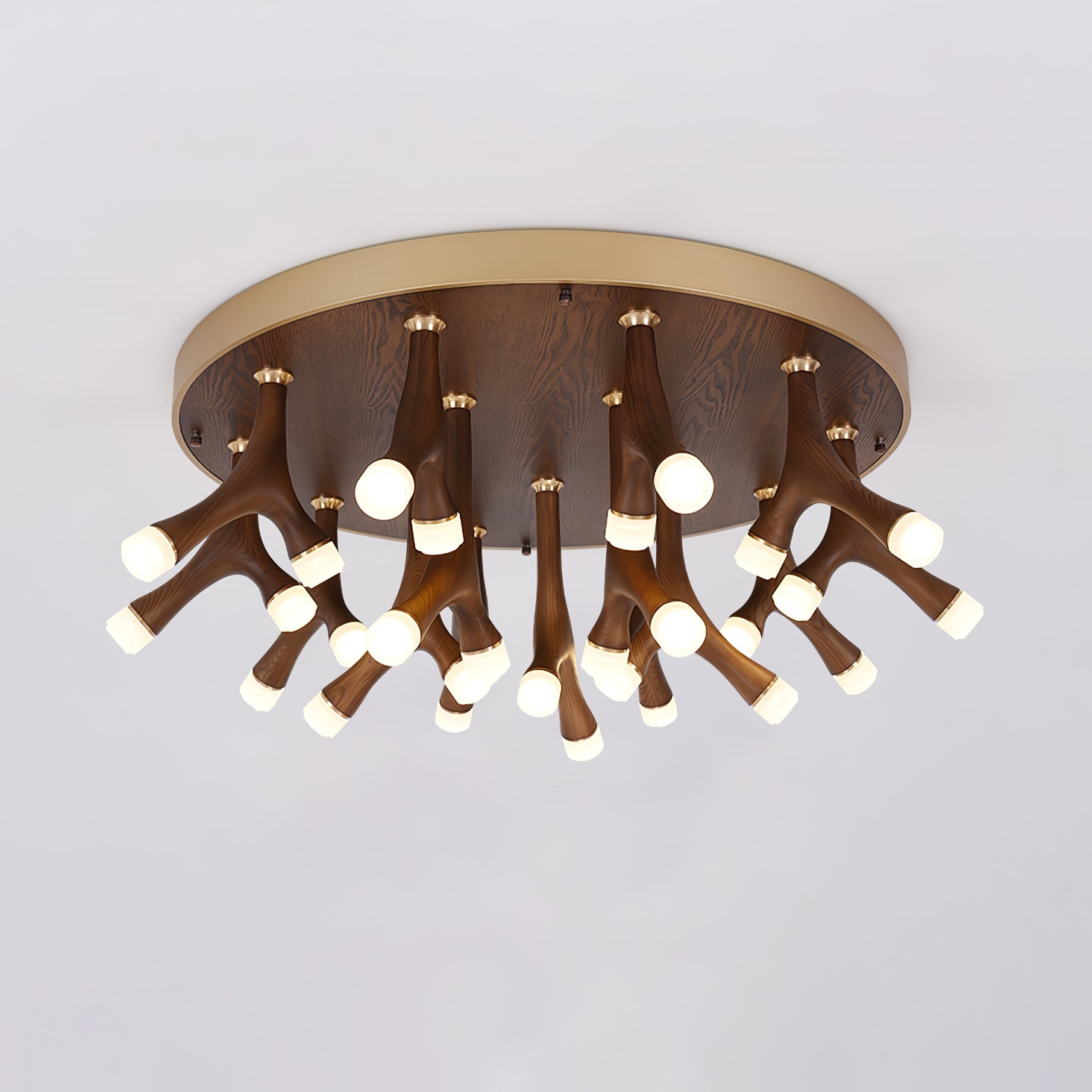 tentacle-ceiling-lamp-anzaz--13
