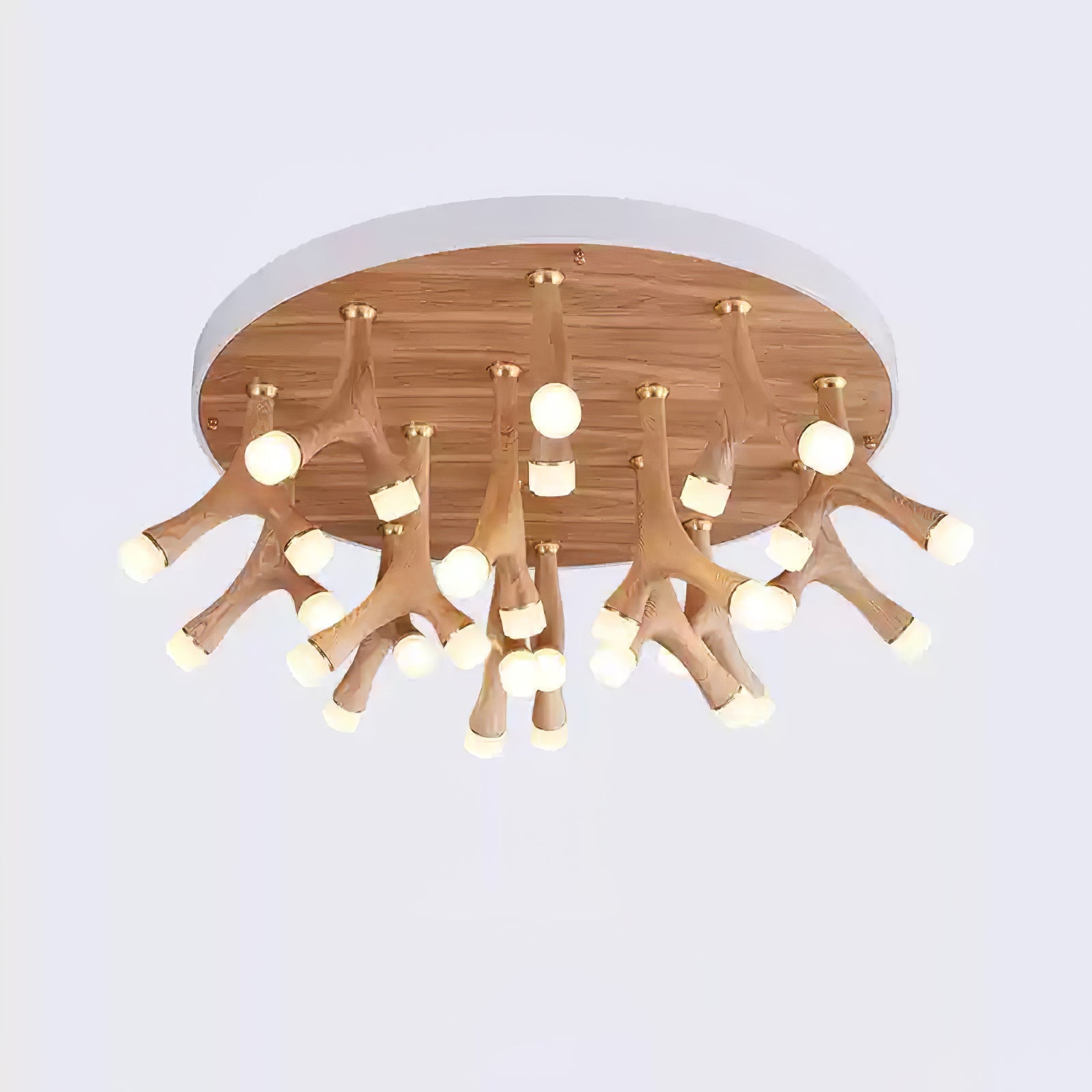 tentacle-ceiling-lamp-anzaz--14