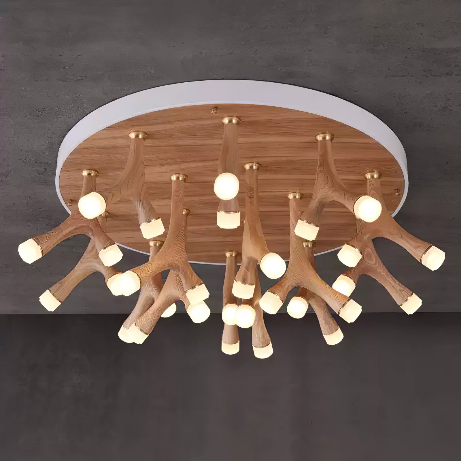 tentacle-ceiling-lamp-anzaz--7