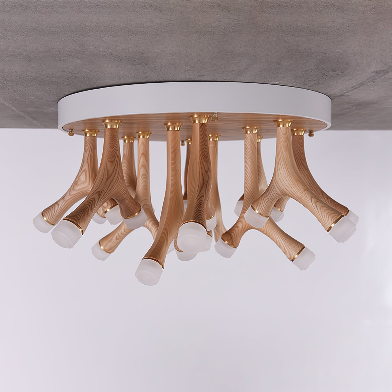 tentacle-ceiling-lamp-anzaz--8