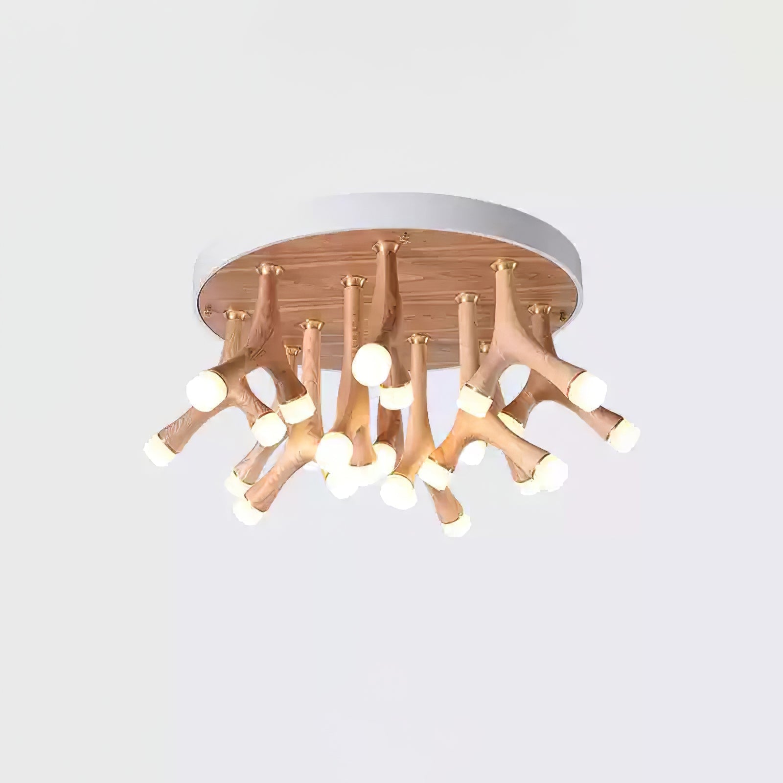 tentacle-ceiling-lamp-anzaz--10