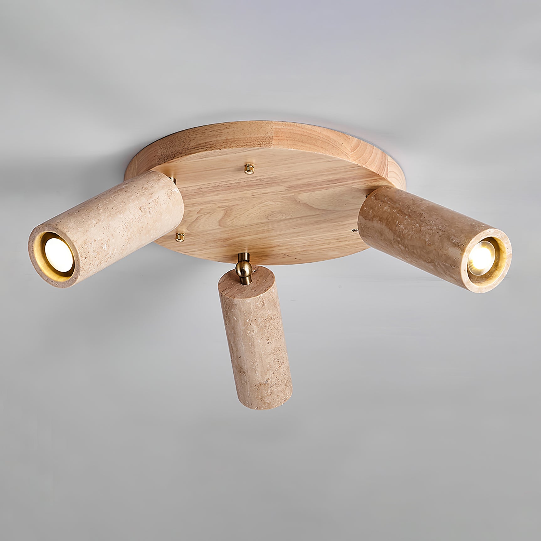 terra-beam-ceiling-light-anzaz--9