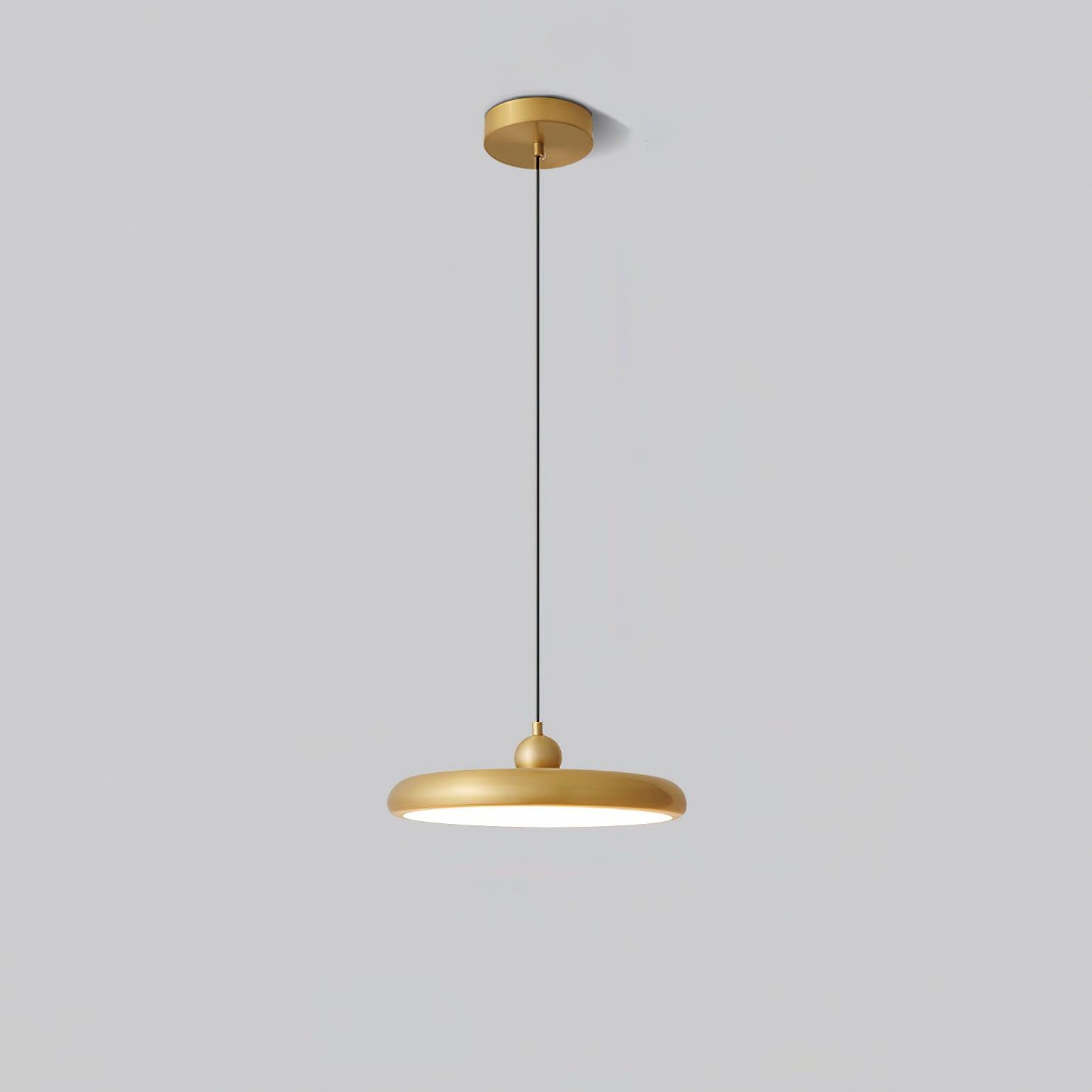 thin-disc-pendant-lamp-anzaz--19