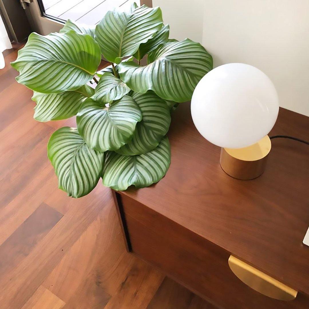 tip-of-the-tongue-table-lamp-anzaz--29