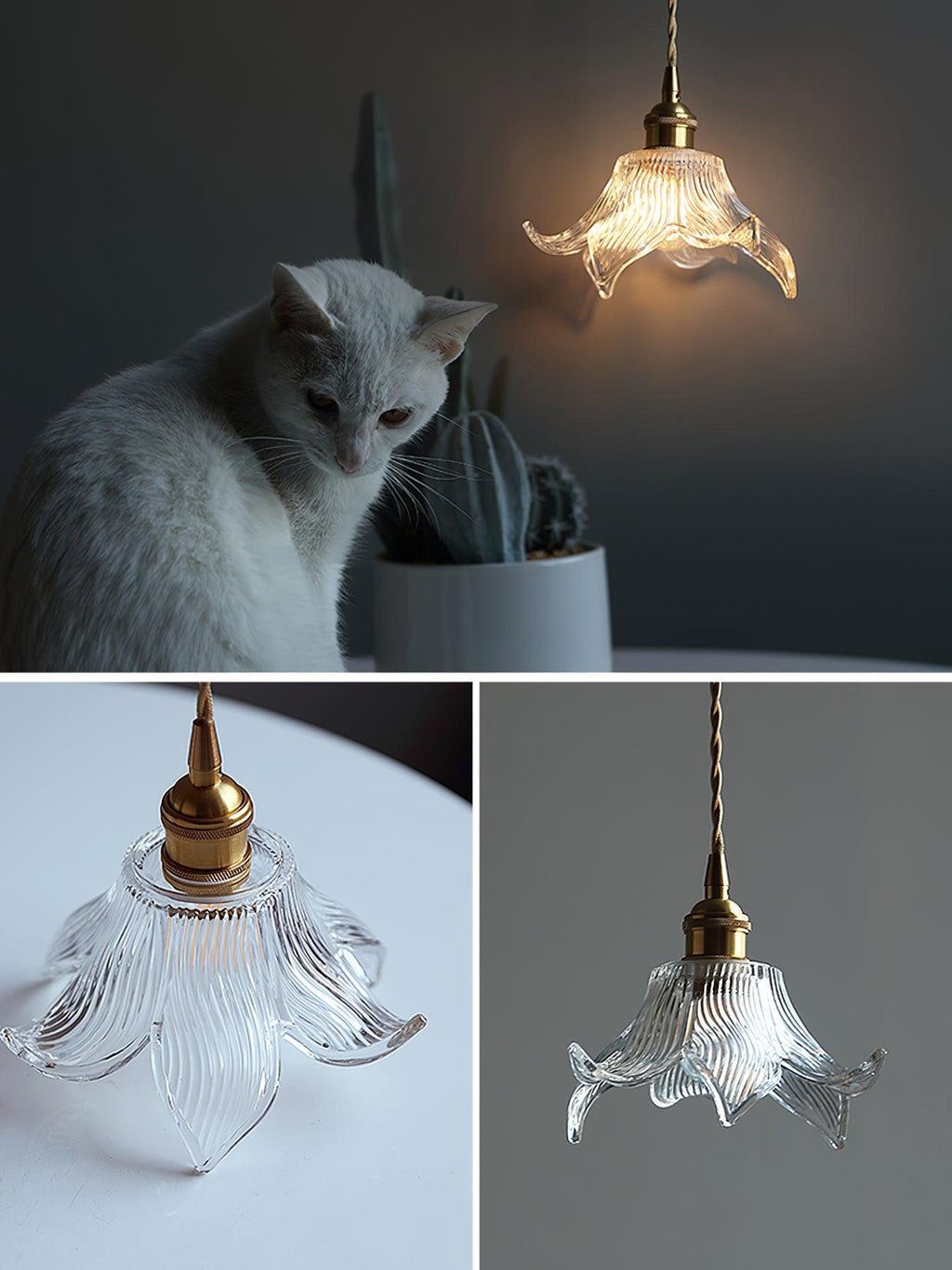 transparent-crystal-pendant-light-anzaz--23
