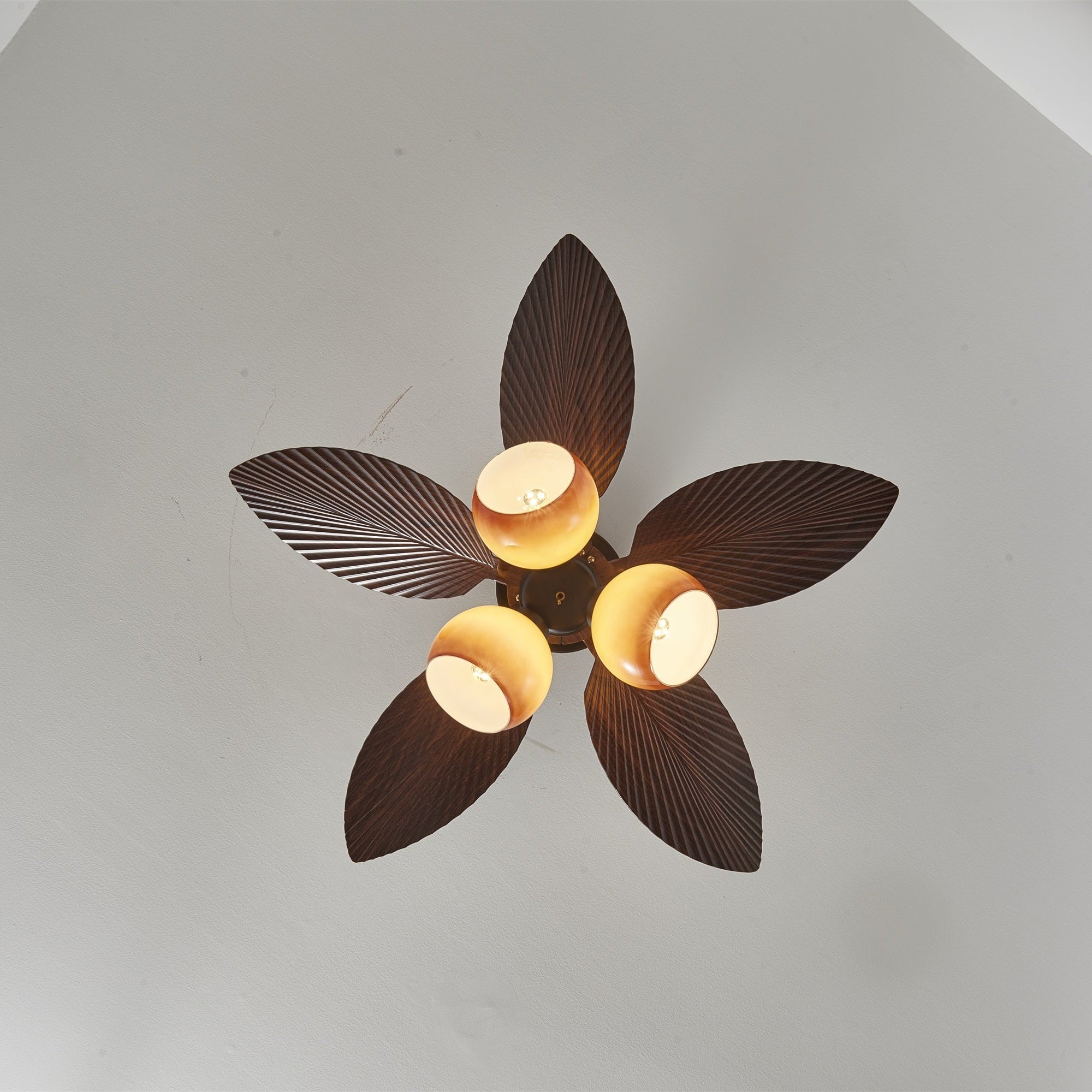 tropiluxe-ceiling-fan-light-anzaz--20