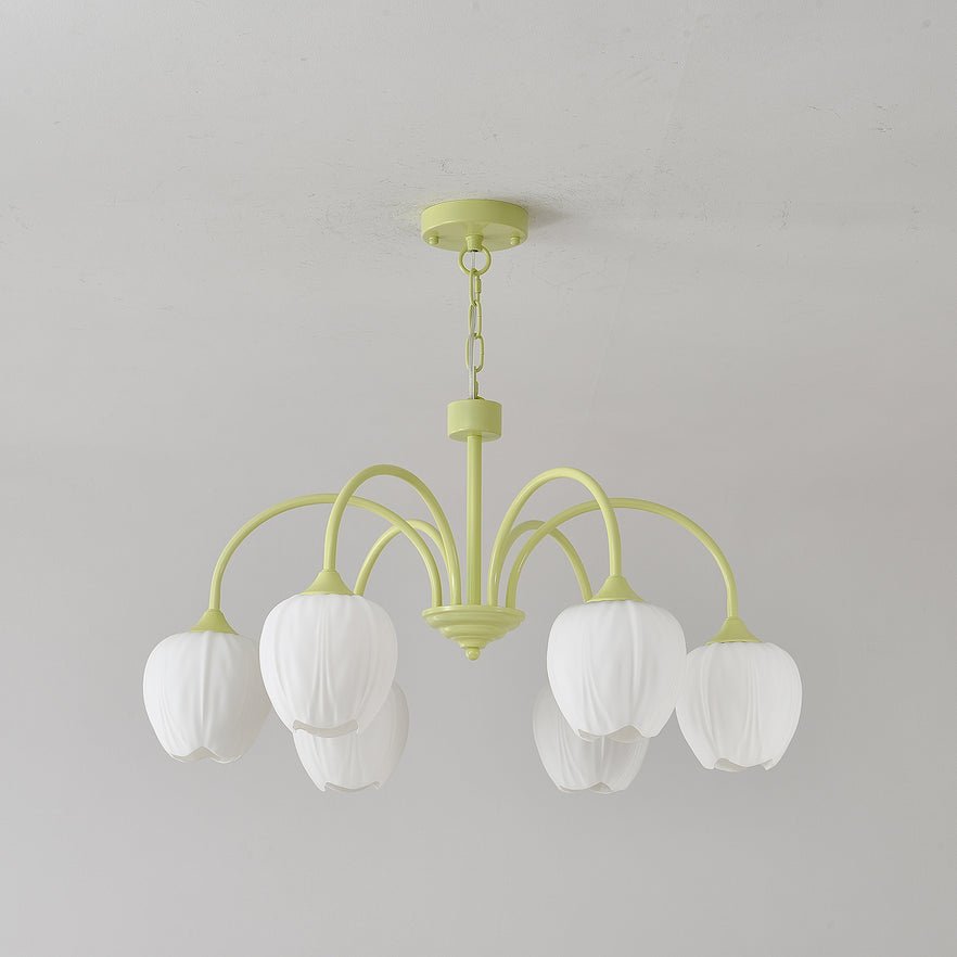 tulip-matcha-chandelier-anzaz--46