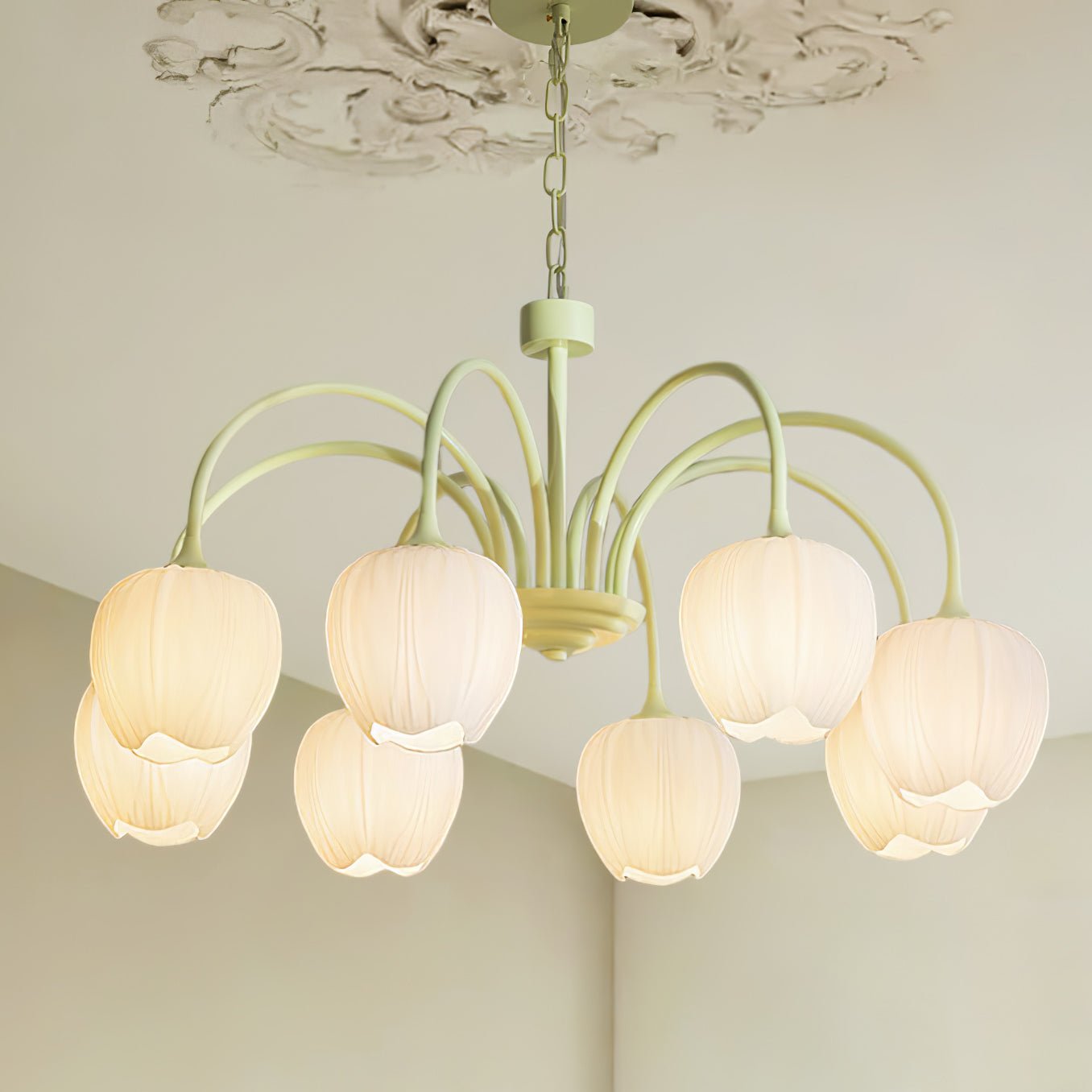 tulip-matcha-chandelier-anzaz--27