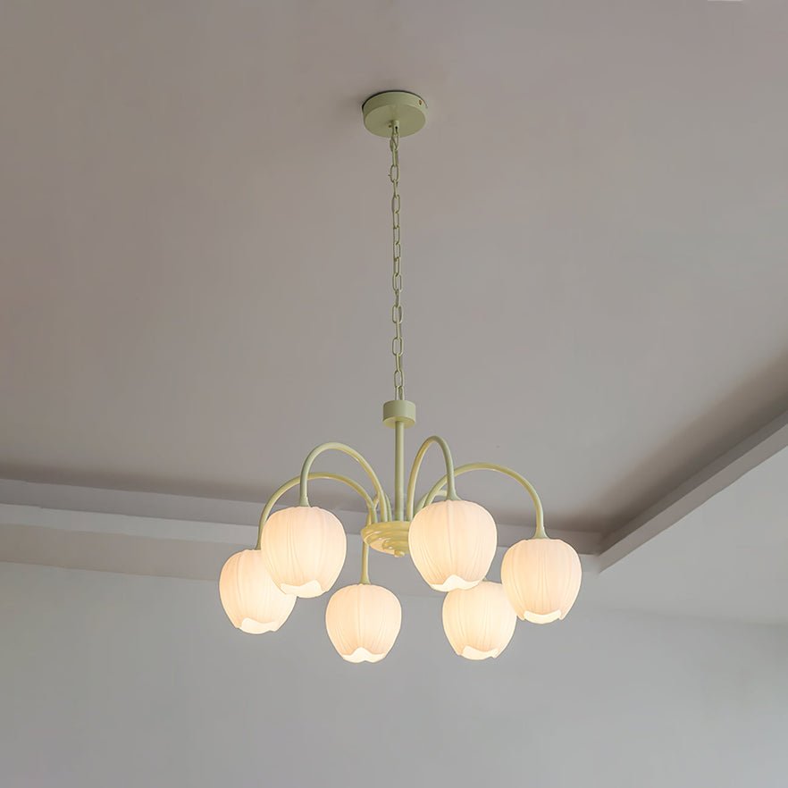 tulip-matcha-chandelier-anzaz--47