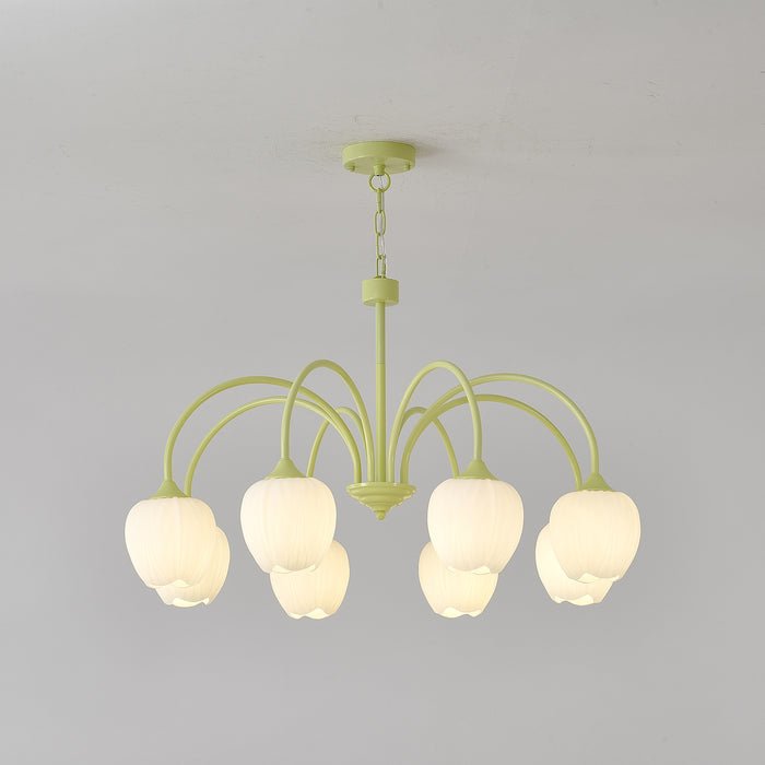 tulip-matcha-chandelier-anzaz--48