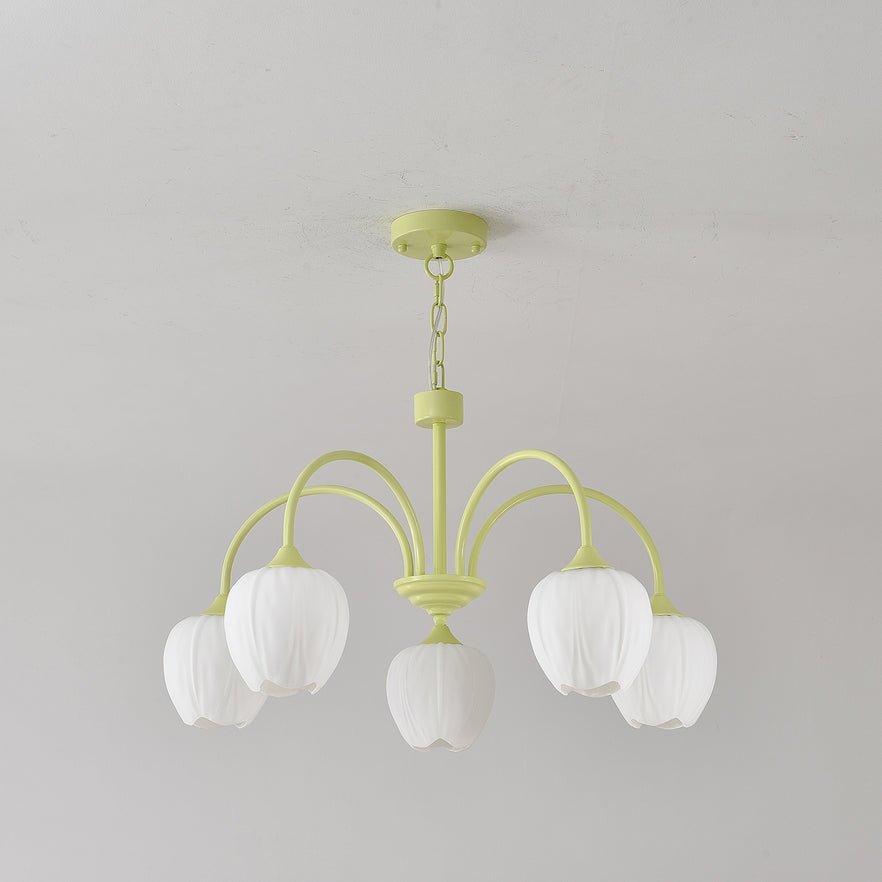 tulip-matcha-chandelier-anzaz--49