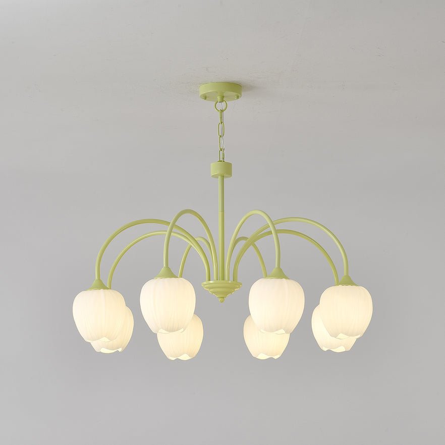 tulip-matcha-chandelier-anzaz--51