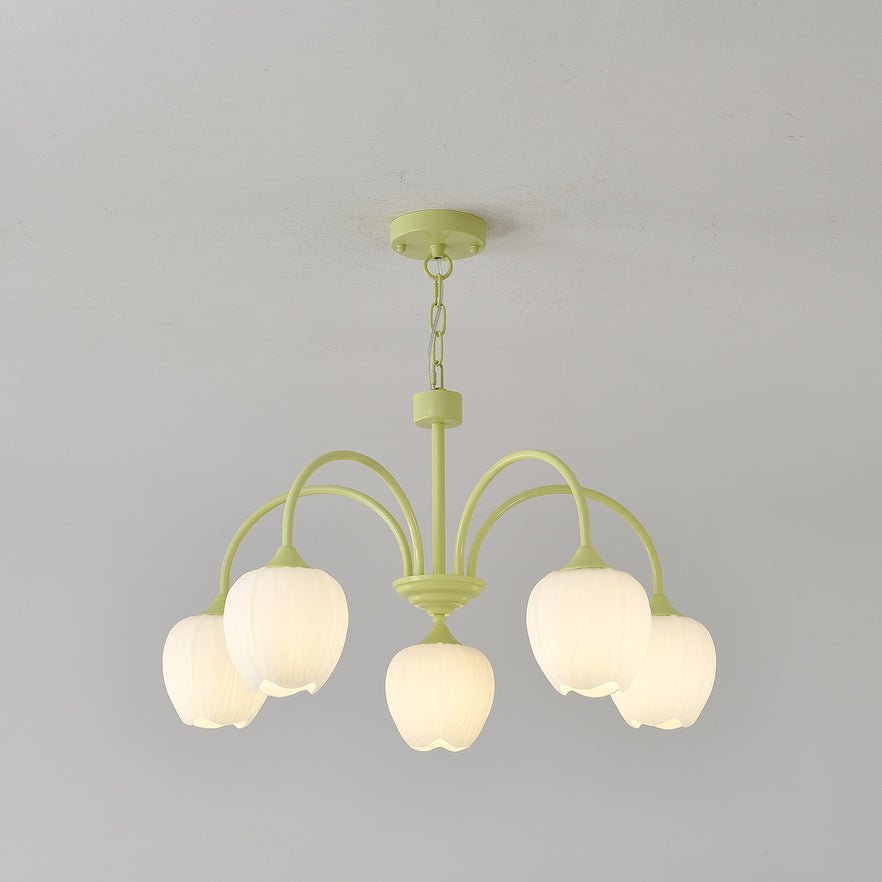 tulip-matcha-chandelier-anzaz--52