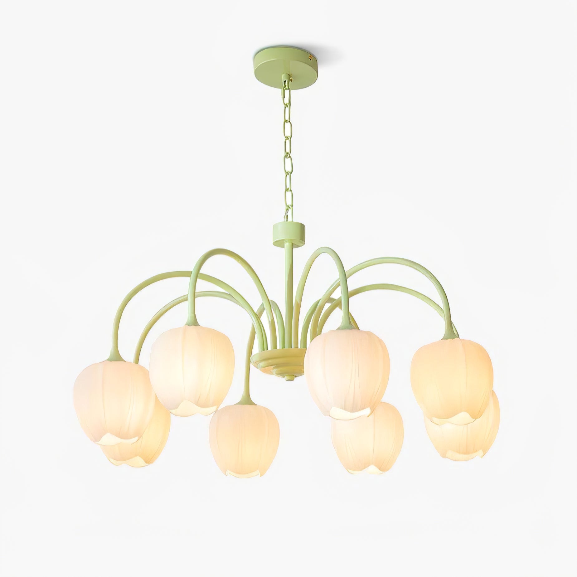 tulip-matcha-chandelier-anzaz--59