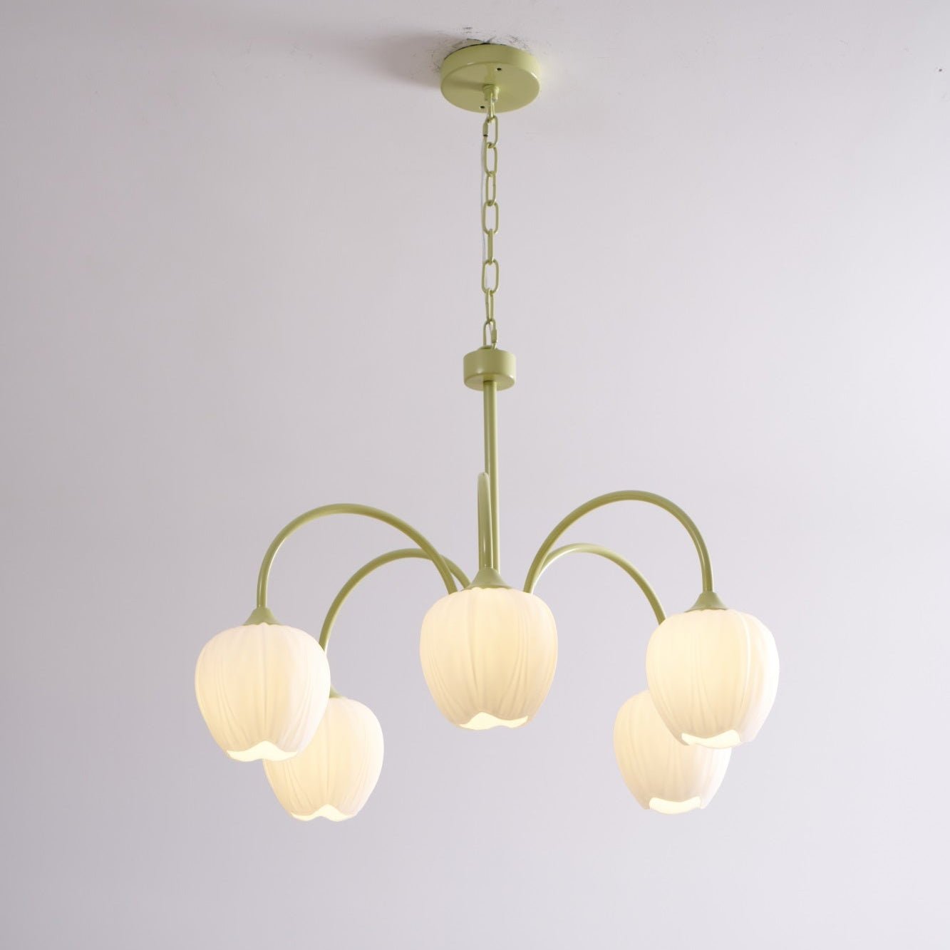 tulip-matcha-chandelier-anzaz--71