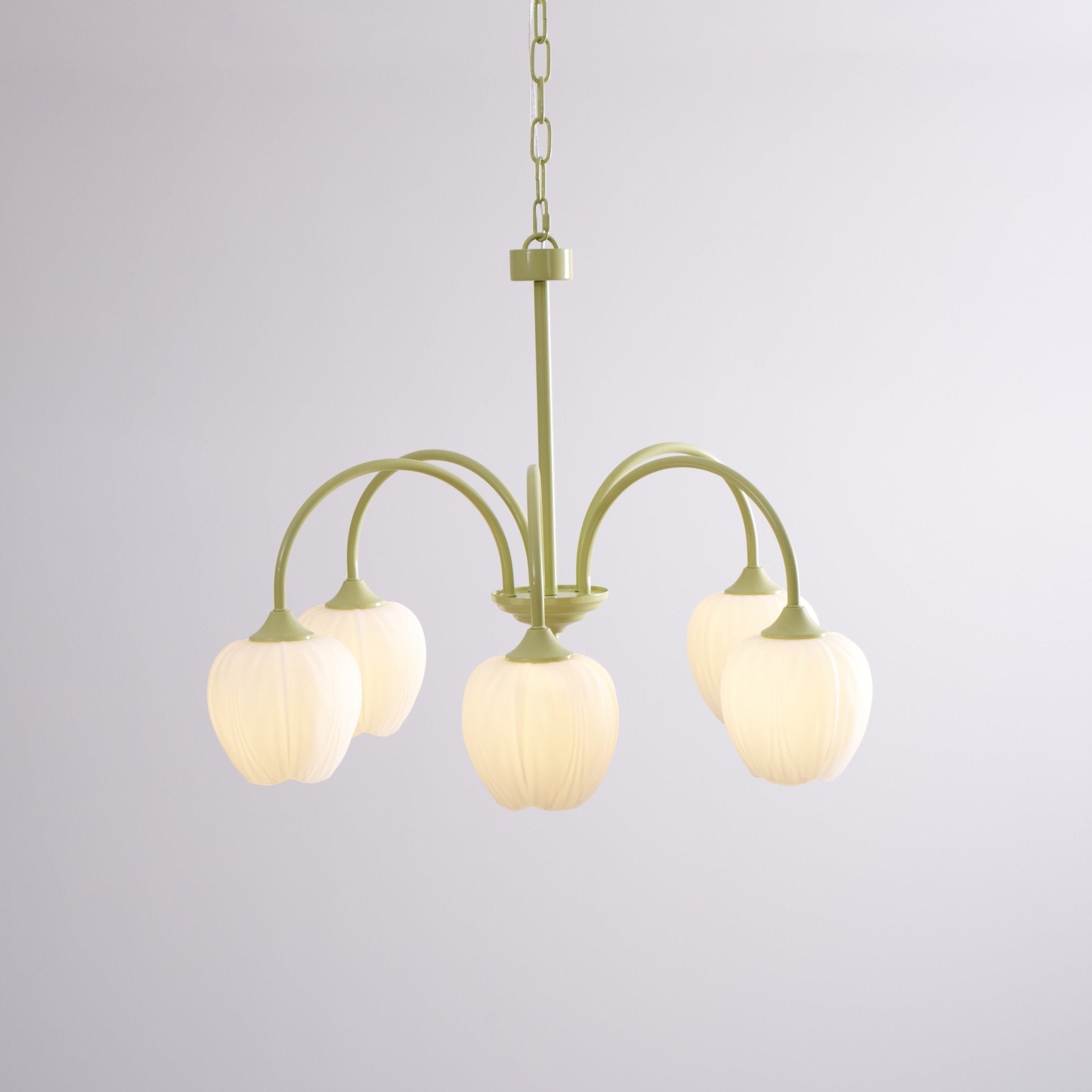 tulip-matcha-chandelier-anzaz--19