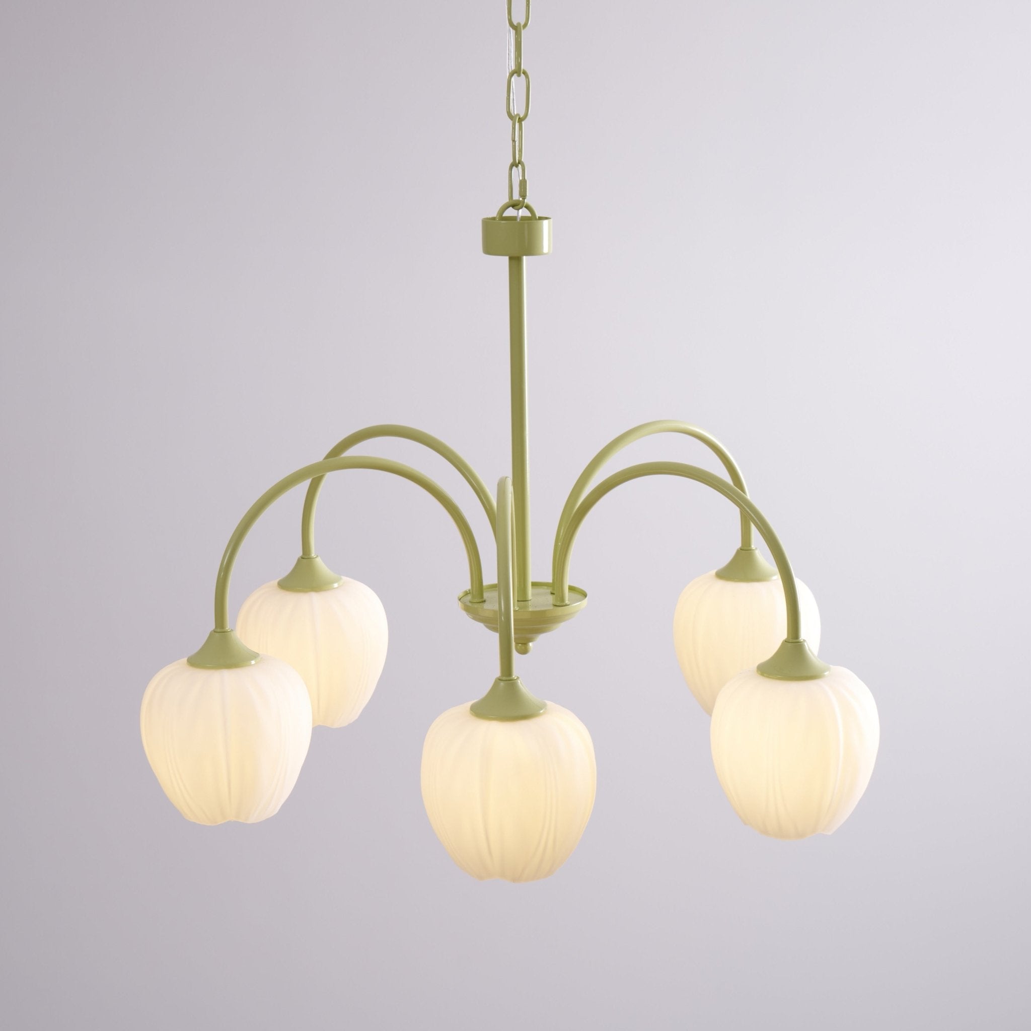tulip-matcha-chandelier-anzaz--61