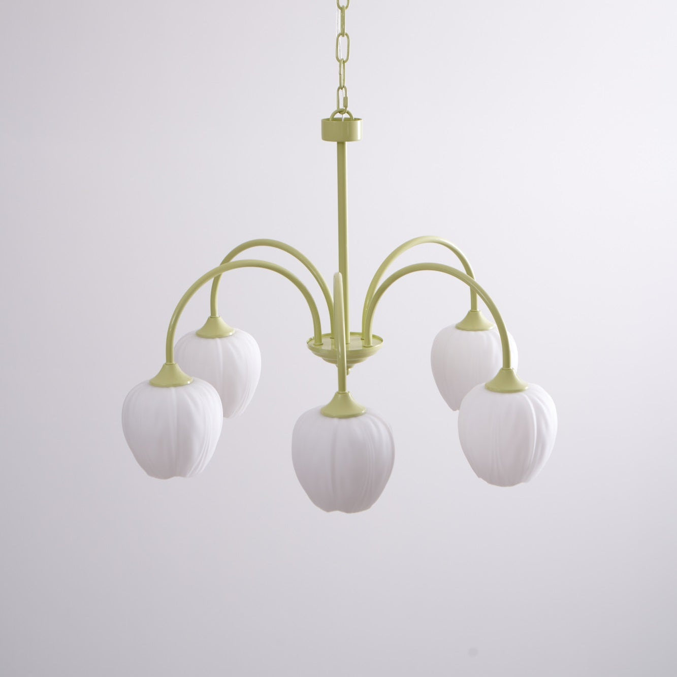 tulip-matcha-chandelier-anzaz--72
