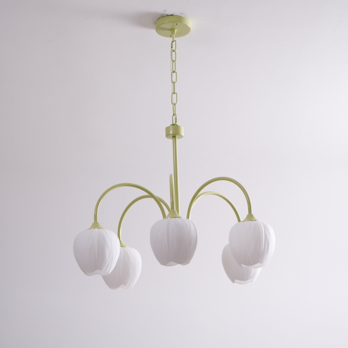 tulip-matcha-chandelier-anzaz--69