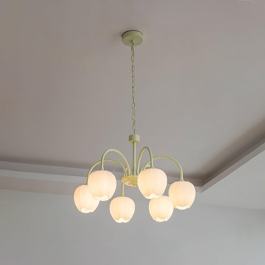 tulip-matcha-chandelier-anzaz--32