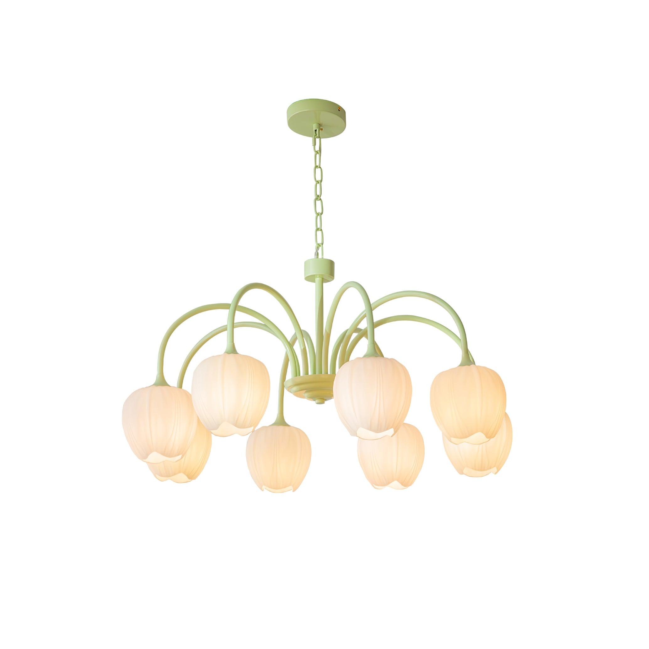 tulip-matcha-chandelier-anzaz--55