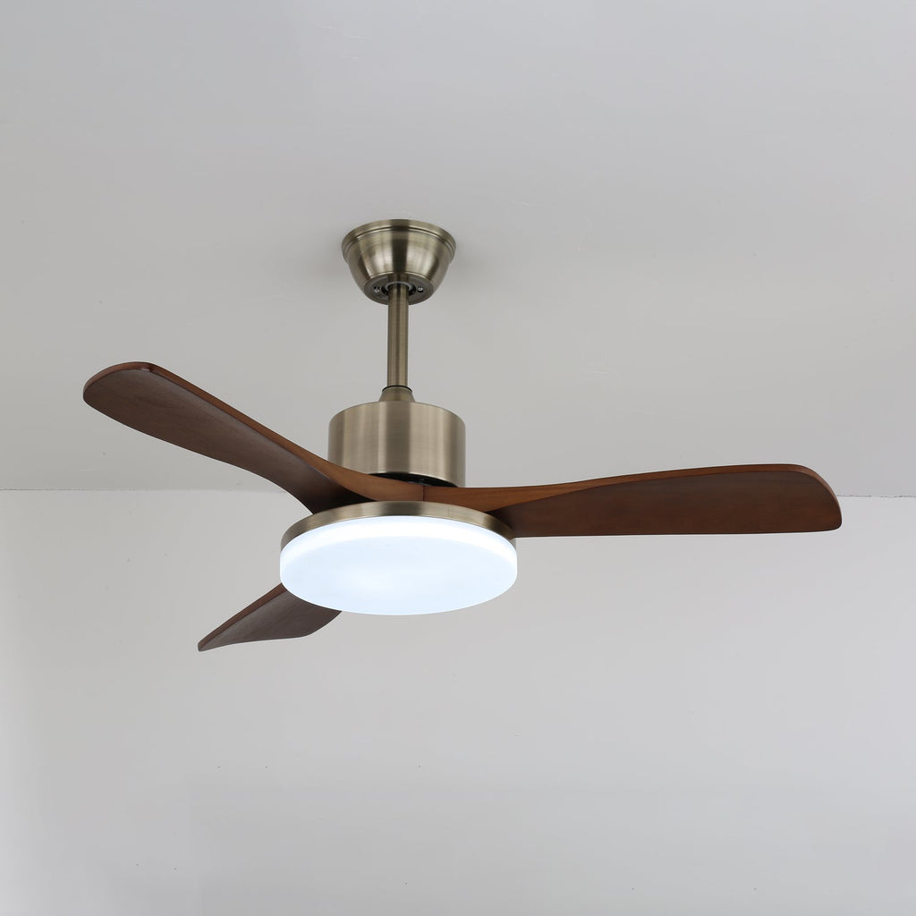 vega-ceiling-fan-light-anzaz--10