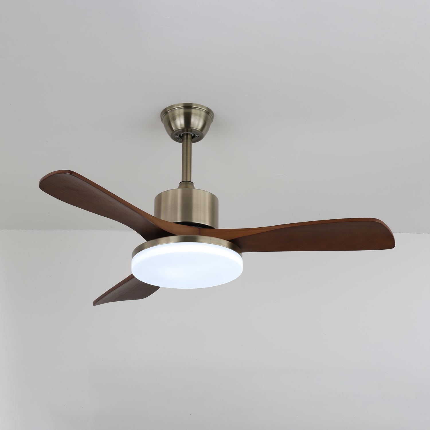 vega-ceiling-fan-light-anzaz--10