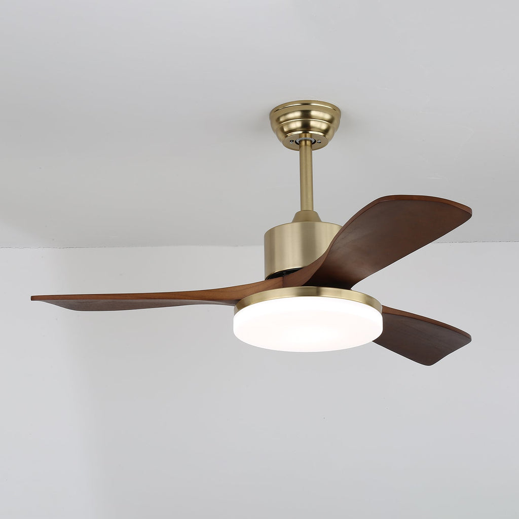 vega-ceiling-fan-light-anzaz--8