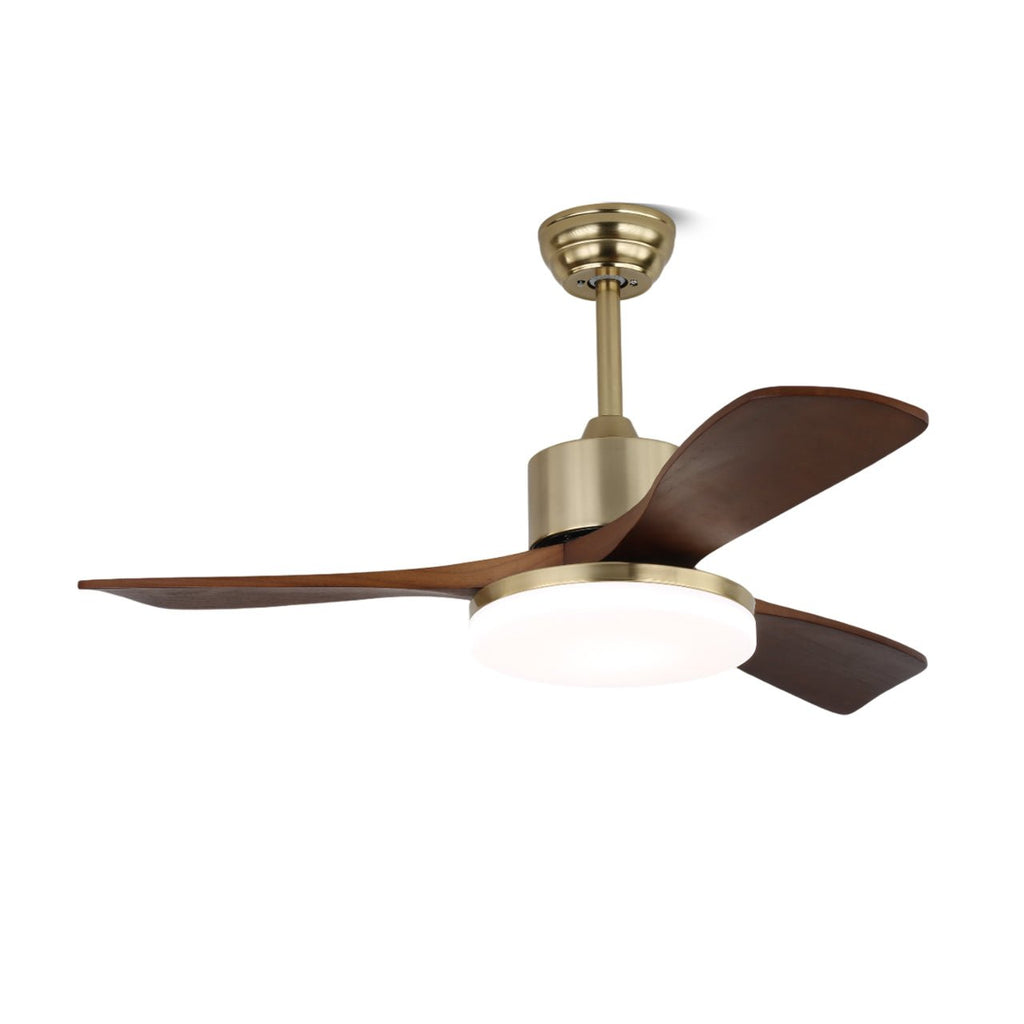 vega-ceiling-fan-light-anzaz--7