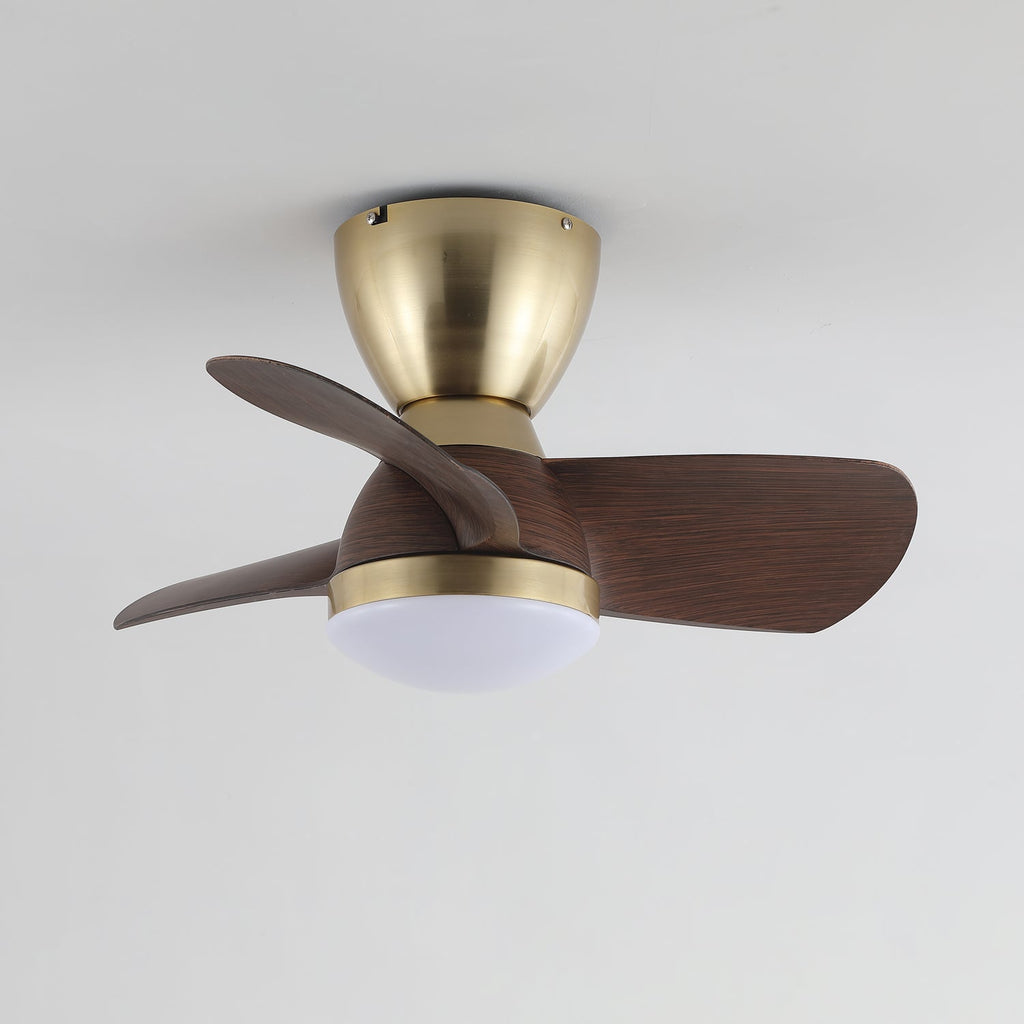 velis-ceiling-fan-light-anzaz--7