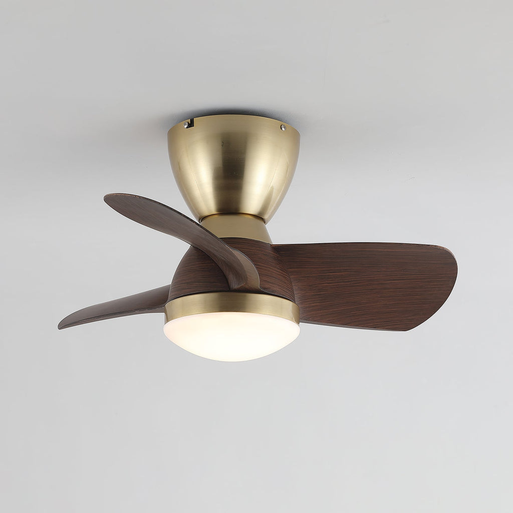 velis-ceiling-fan-light-anzaz--8