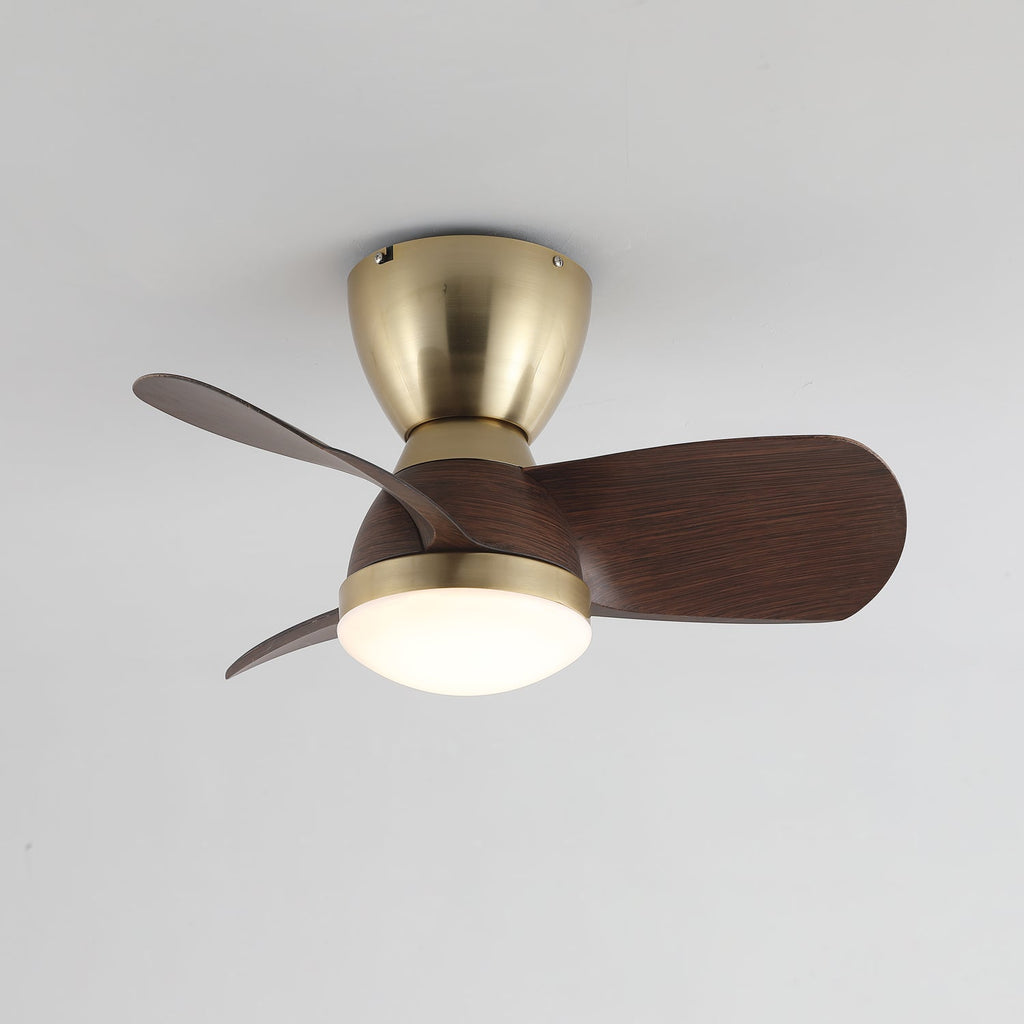 velis-ceiling-fan-light-anzaz--9