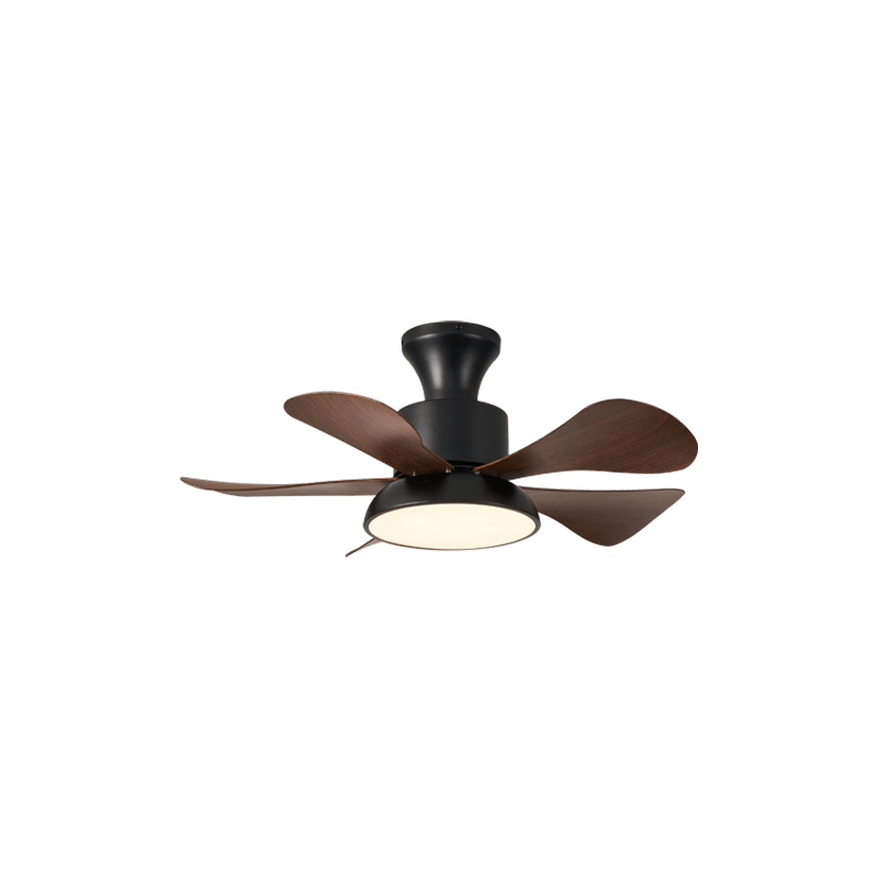 velmora-ceiling-fan-light-anzaz--6