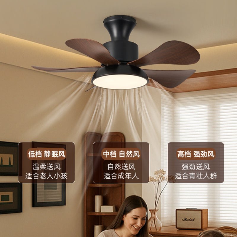 velmora-ceiling-fan-light-anzaz--8