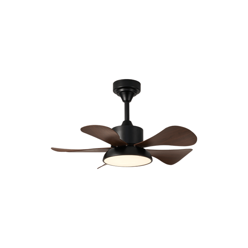 velmora-ceiling-fan-light-anzaz--7