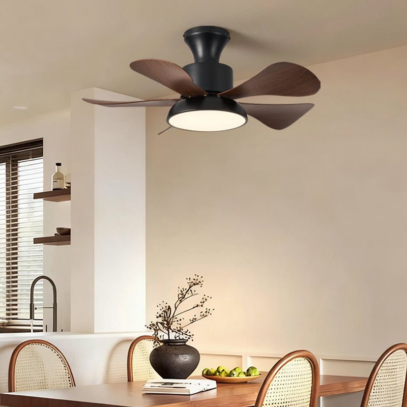 velmora-ceiling-fan-light-anzaz--4