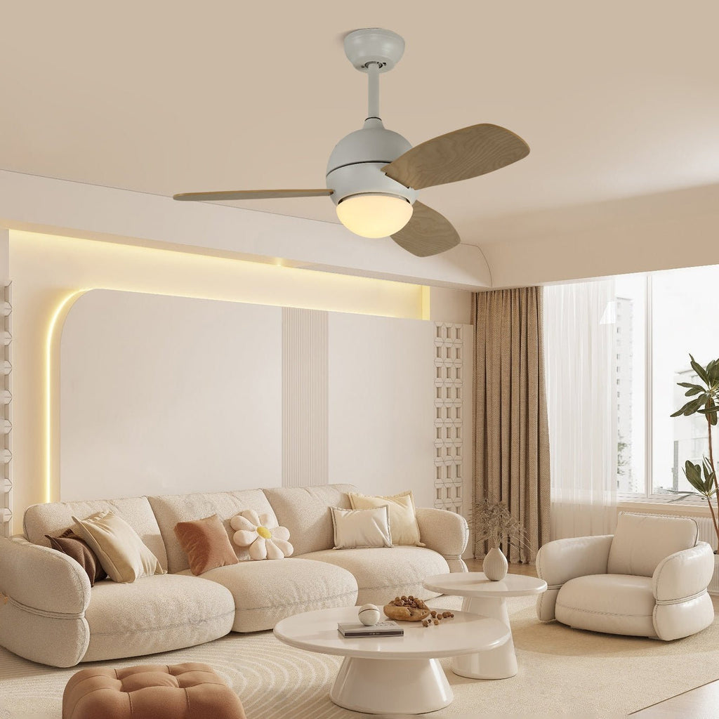 vento-ceiling-fan-light-anzaz--4