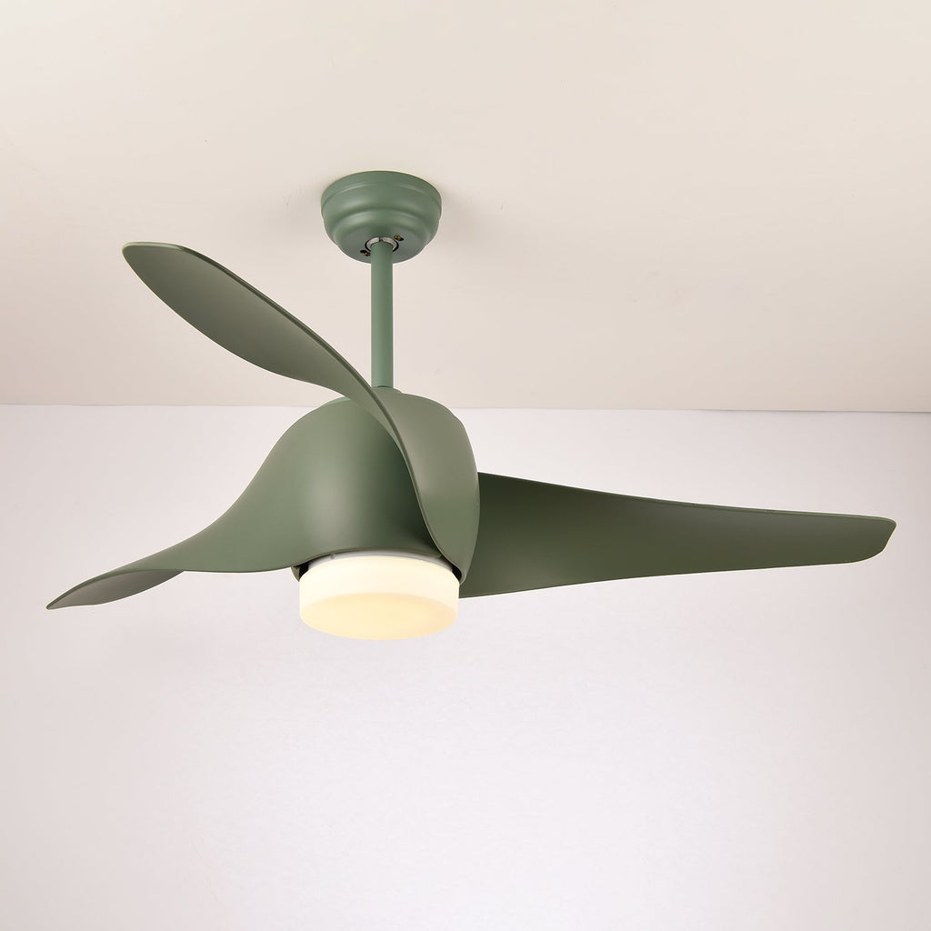 verdantia-aero-ceiling-fan-light-anzaz--13